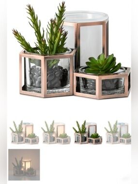 Scentsy Wild Desert wax warmer - VGUC! Beautiful succulent garden warmer trivase